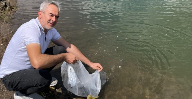 Alaca'da barajlara 320 bin yavru balık bırakıldı