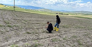 Dolu ve selden etkilenen Alaca'da zarar tespit çalışması başlatıldı