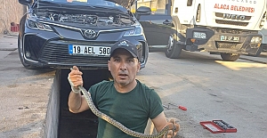 Otomobilin motoruna giren yılanı itfaiye çıkardı