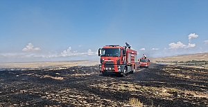 Anız yangını ormanlık alana sıçramadan söndürüldü